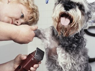 Start Your Own Home-Based Pet Grooming Business Start Your Own Home-Based Pet Grooming Business