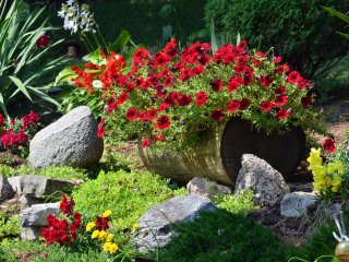 Container Gardening